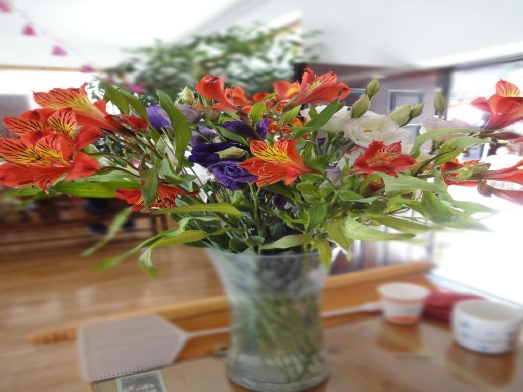 Dali Four Season Flower Inn Dali (Yunnan) Bagian luar foto